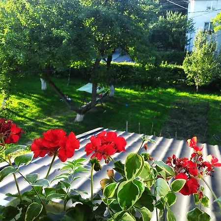 Sweet * Truskavec